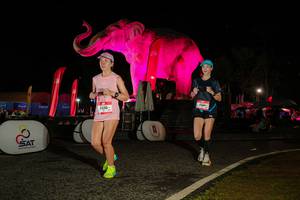 BIB: 
                            <button type="button" onclick="openModal(26534311)" class="btn btn-primary btn-sm float-right btn-popup" data-toggle="modal" data-target=".modal-high-quality">
                        <i class="fas fa-shopping-cart"></i> Add to Cart
                    </button>
                                            <button type="button" onclick="isThisMe(26534311, true)" class="btn btn-success btn-sm float-right btn-popup btn-isme hidden" data-toggle="tooltip" data-placement="bottom" title="นี่คือรูปของคุณใช่ไหม คลิกที่นี่เพื่อเอาเข้าอัลบั้ม">
                        <i class="fas fa-plus"></i> Add to album
                    </button>
                    <button type="button" onclick="isThisMe(26534311, false)" class="btn btn-warning btn-sm float-right btn-popup btn-isnotme hidden">
                        <i class="fas fa-ban"></i> Remove from album
                    </button>